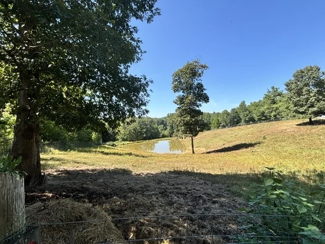 Photo of 2719 McKenzie Rd