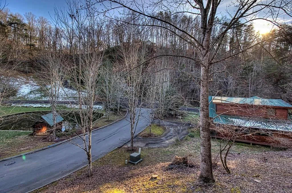 Photo of 1663 Little Cabin Loop
