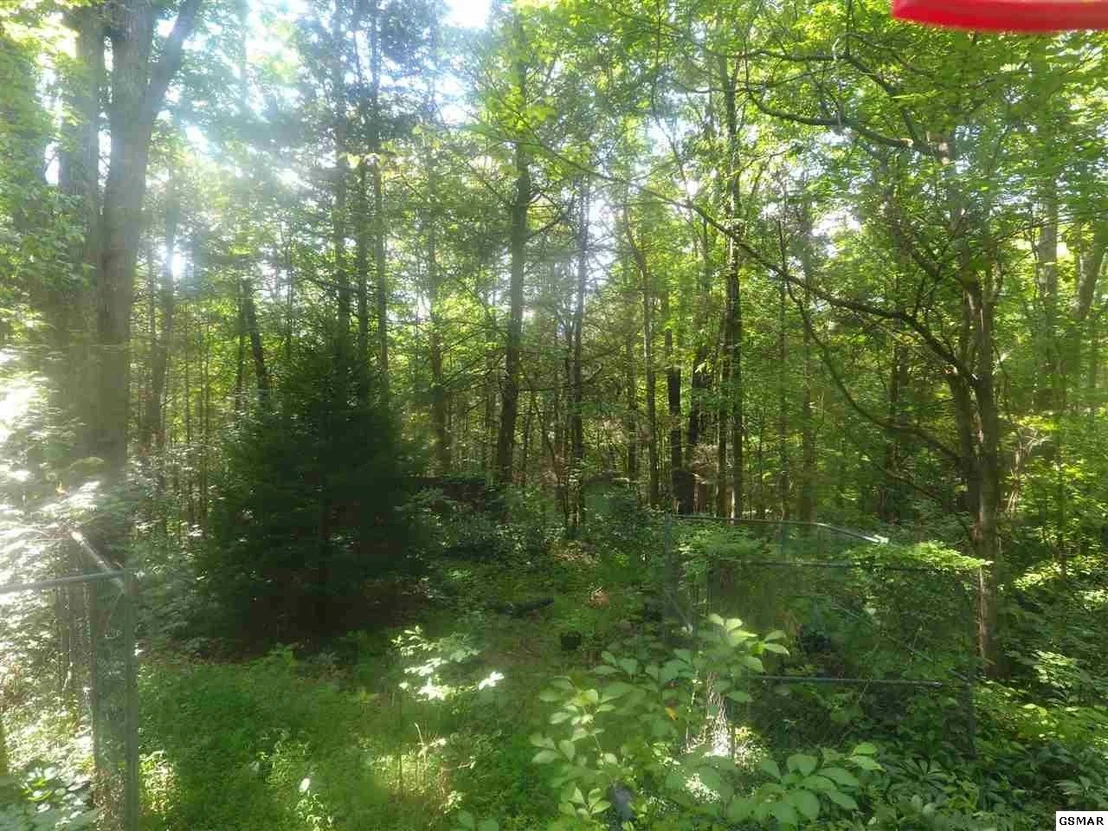 Photo of 3695 Shady Springs Way
