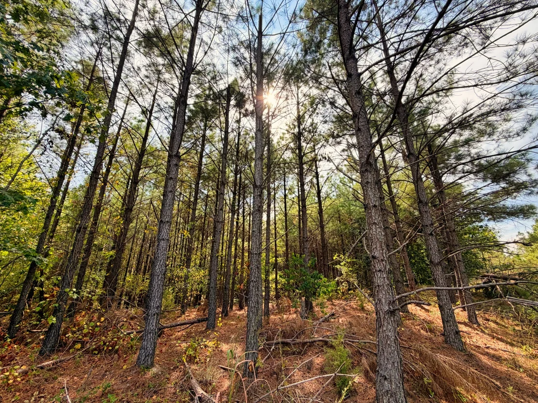 Photo of 0 Lonesome Pine Road