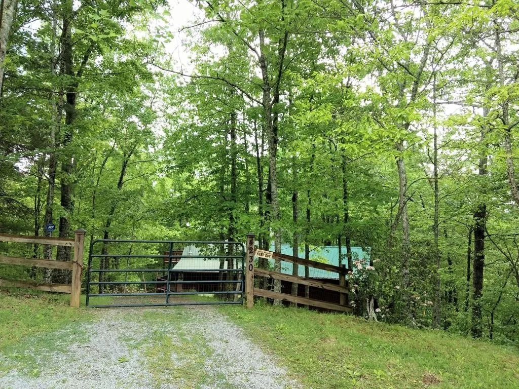 Photo of 4230 Chamberlain Lane