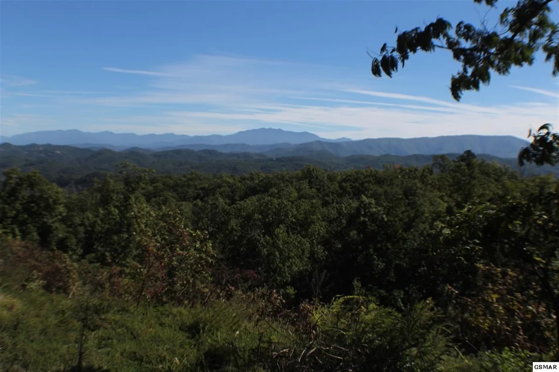 Photo of 3240 Laurel Cove Trail
