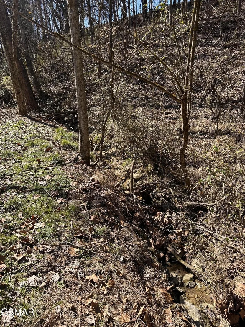 Photo of 24265 S Mohawk Rd