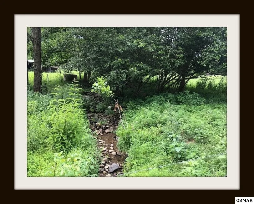 Photo of 3610 Sugar Camp Circle