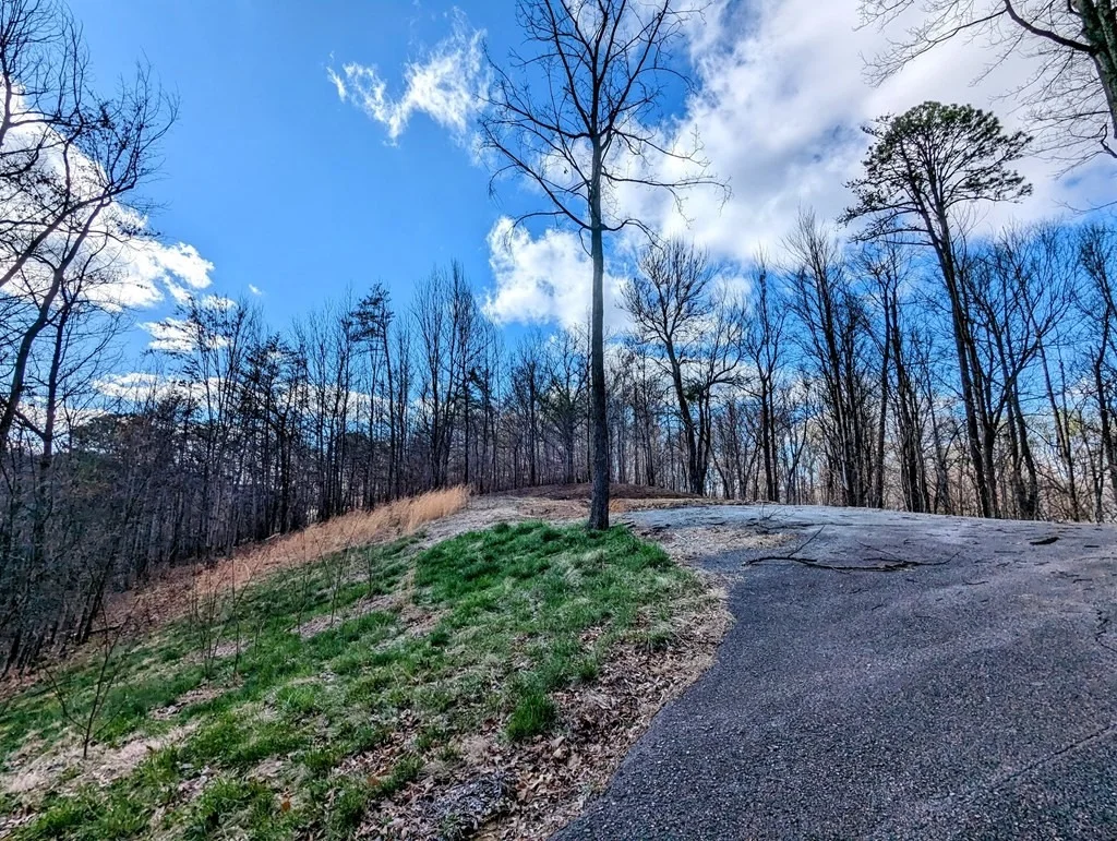 Photo of 3361 SUGAR MAPLE LOOP Road