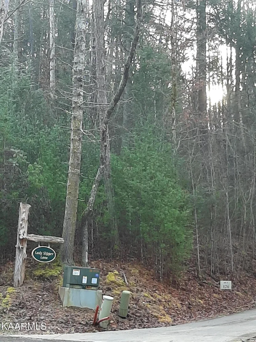 Photo of 509 Lady Slipper Lane