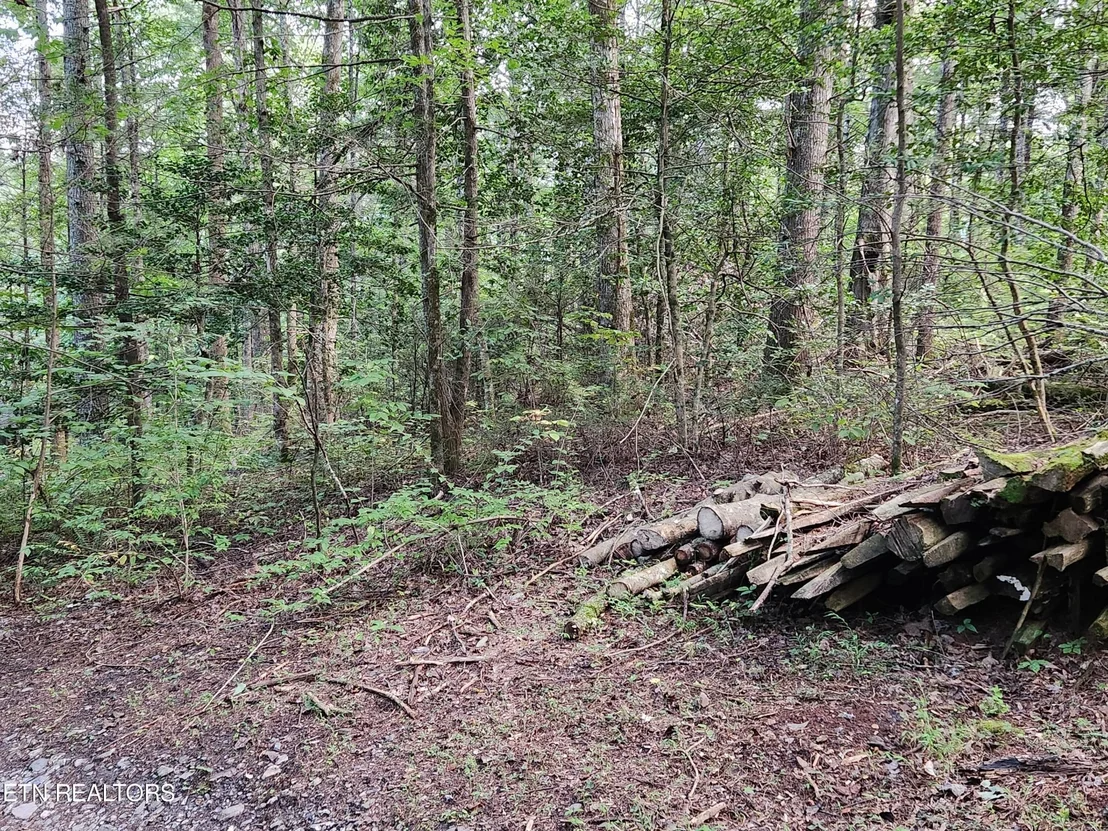 Photo of 417 Lawson Rd