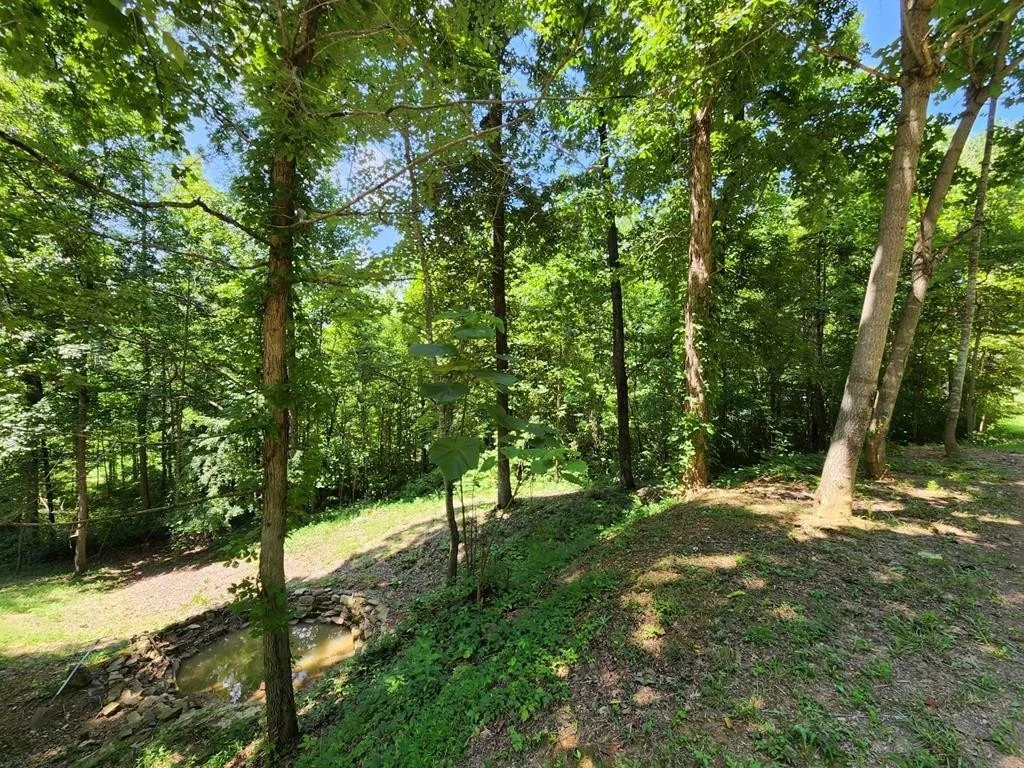 Photo of 1939 Hodgetown Road