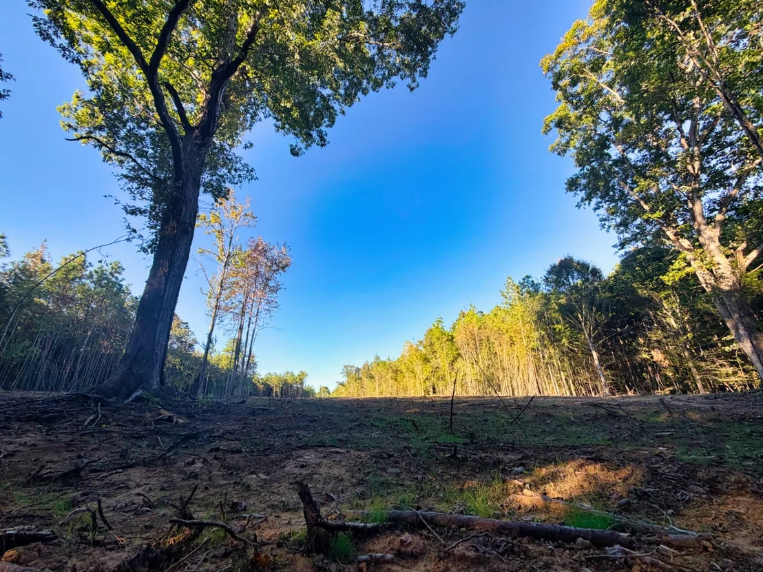Photo of 0 Williams Grove Road