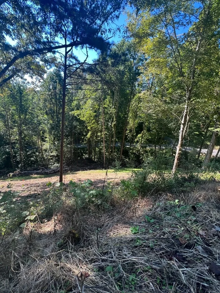 Photo of 1941 SB Ogle Lane
