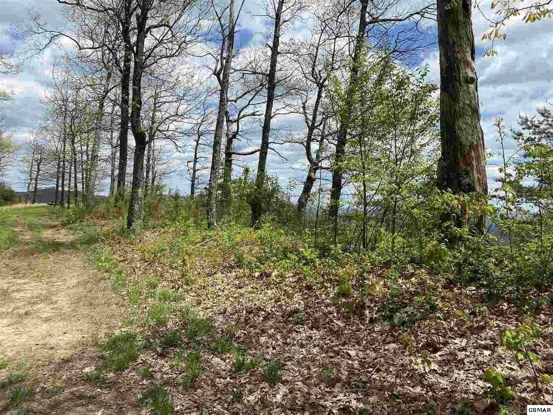 Photo of 38 McClouds Trail