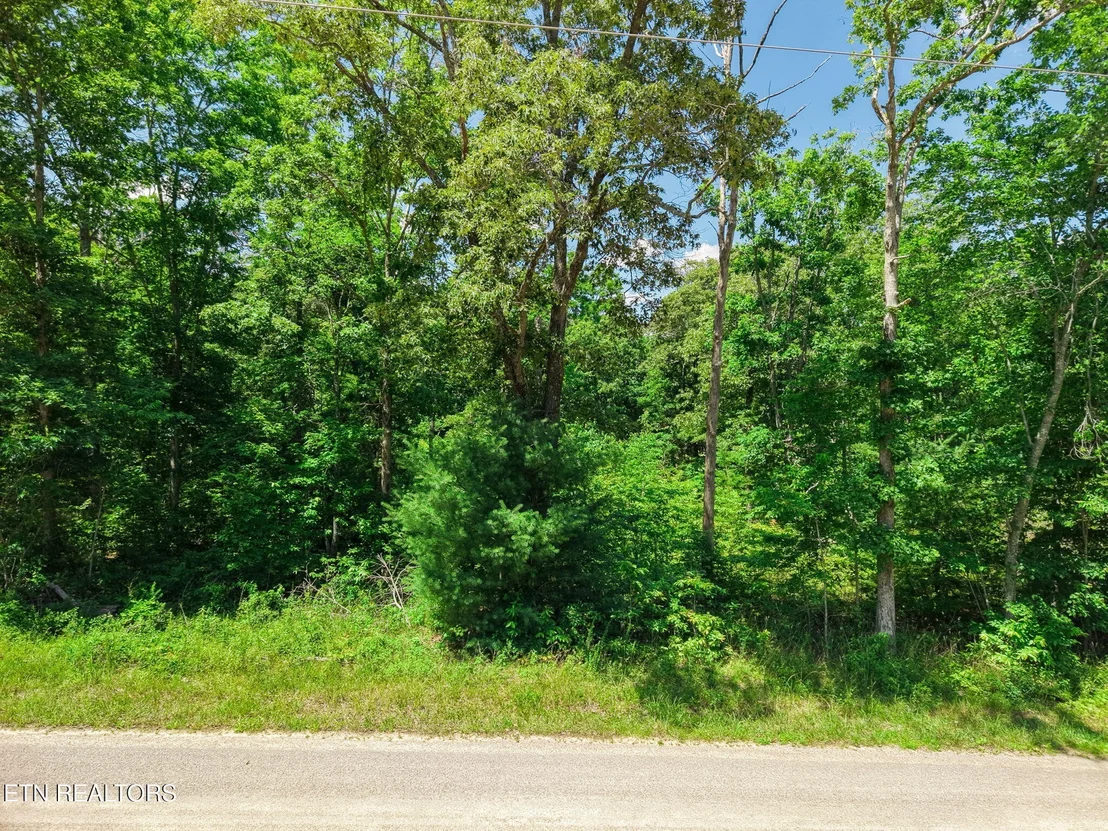 Photo of 246 Perkins Tr