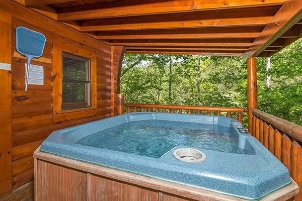 Photo of 1218 Ski View Lane