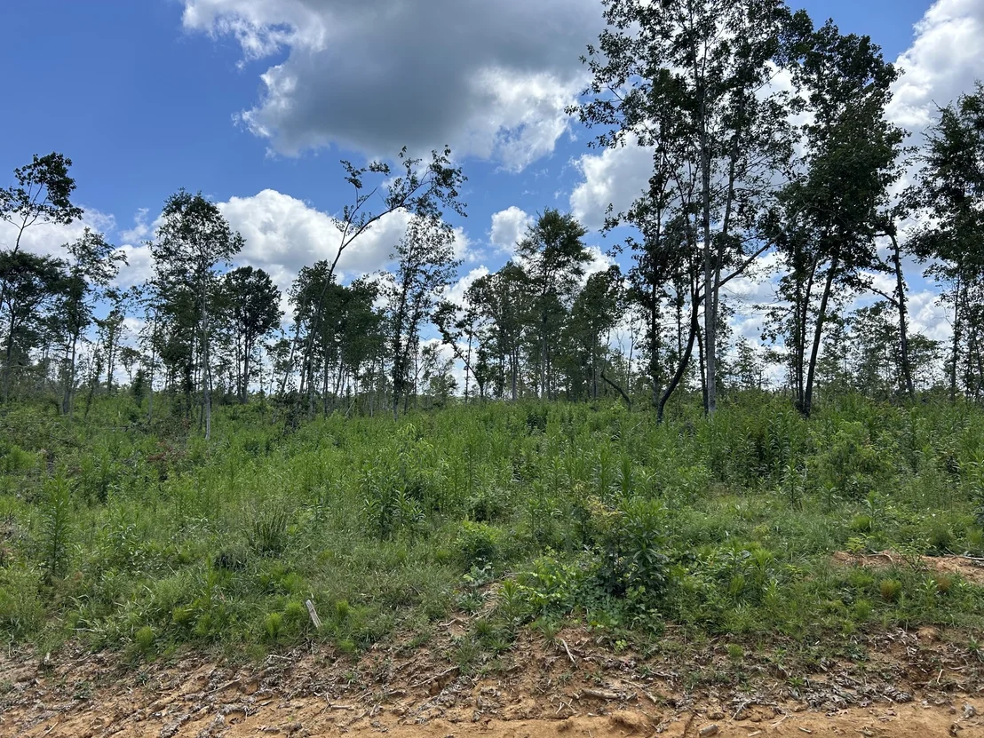 Photo of 0 Wynn Rd
