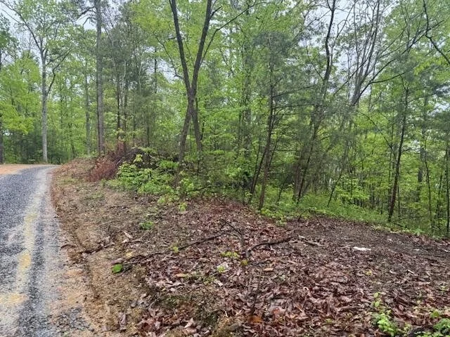 Photo of 2002 Hidden Hollow Way