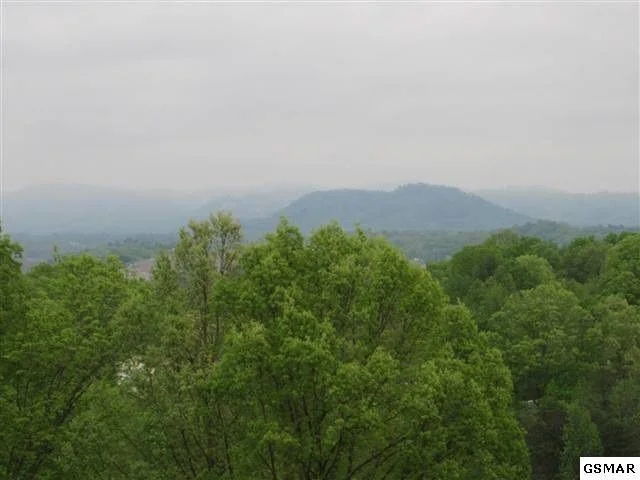 Photo of 1008 Tramel