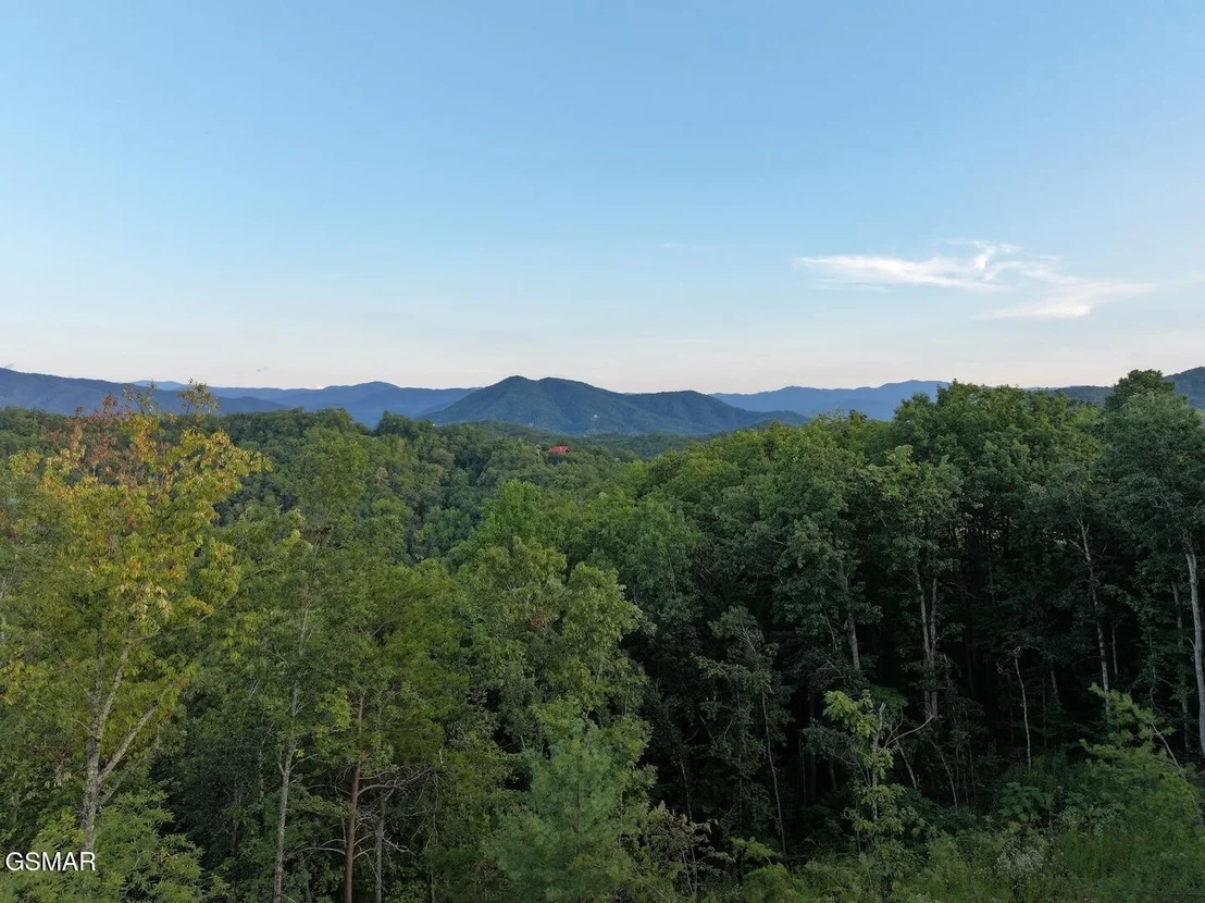 Photo of 4420 Stackstone Road