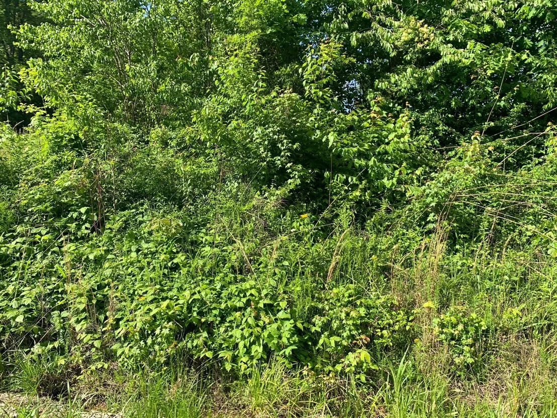 Photo of 29 Escape Drive