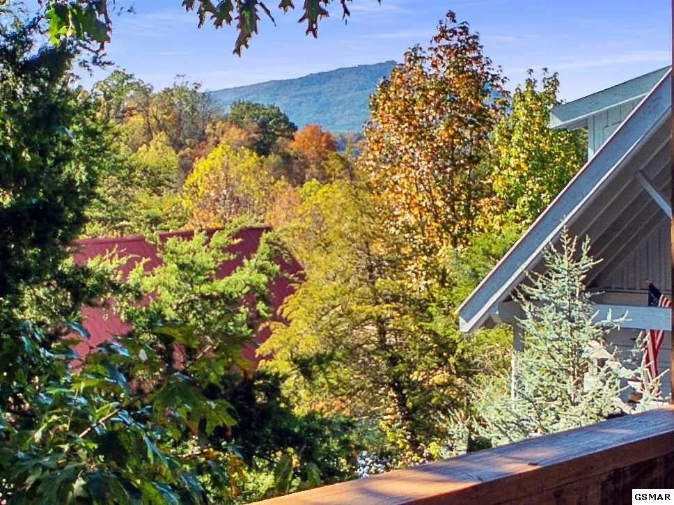 Photo of 2607 Tree Top Way