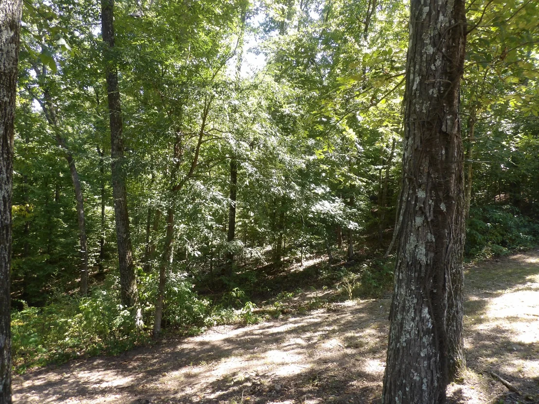 Photo of 2719 McKenzie Rd