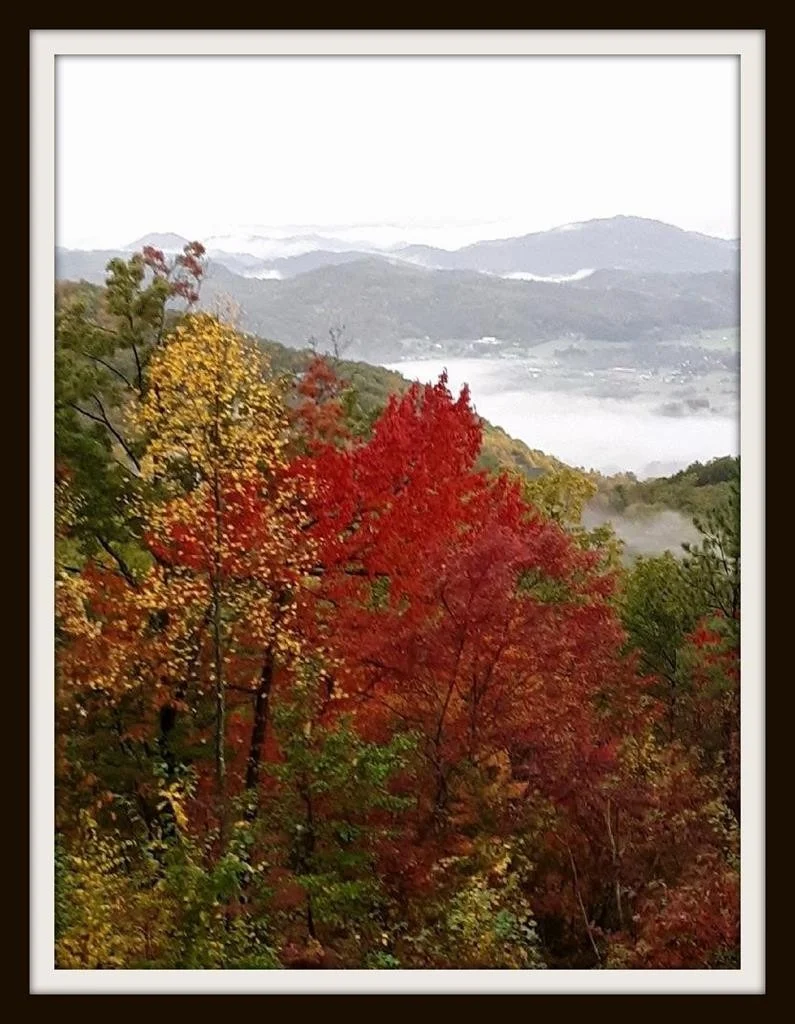 Photo of 3750 COVE MOUNTAIN Road