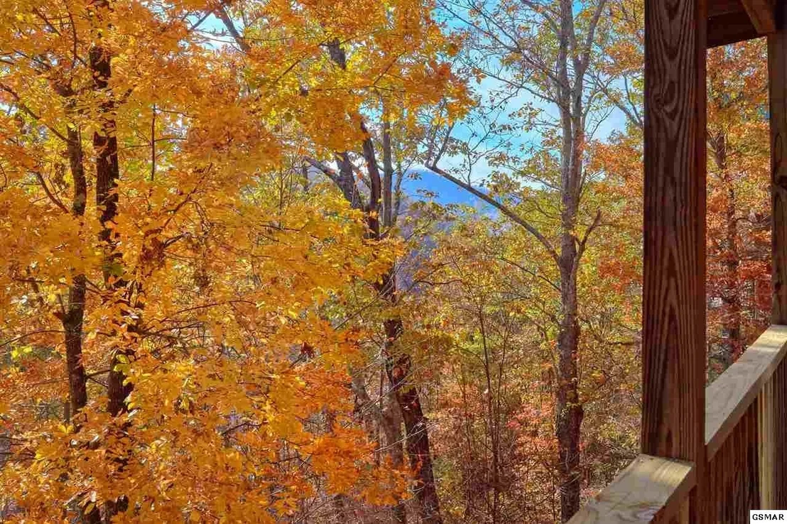Photo of Unit BIGPINELODGE at 2220 Headrick Lead