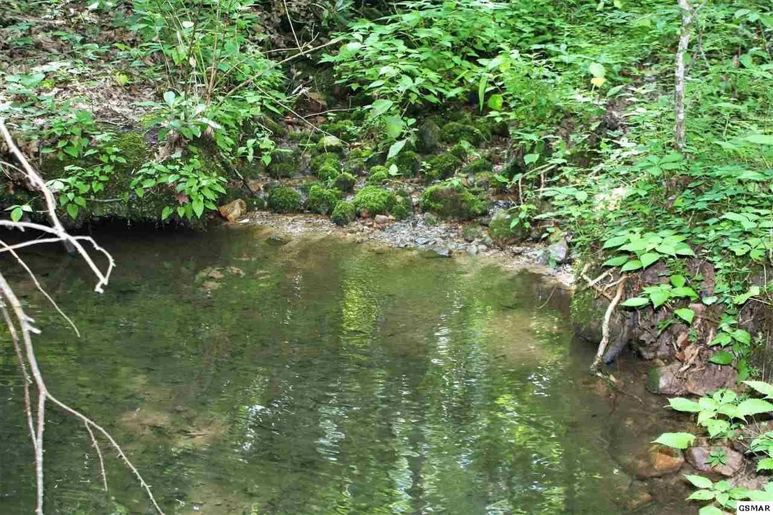 Photo of 0 Off Collier Loop