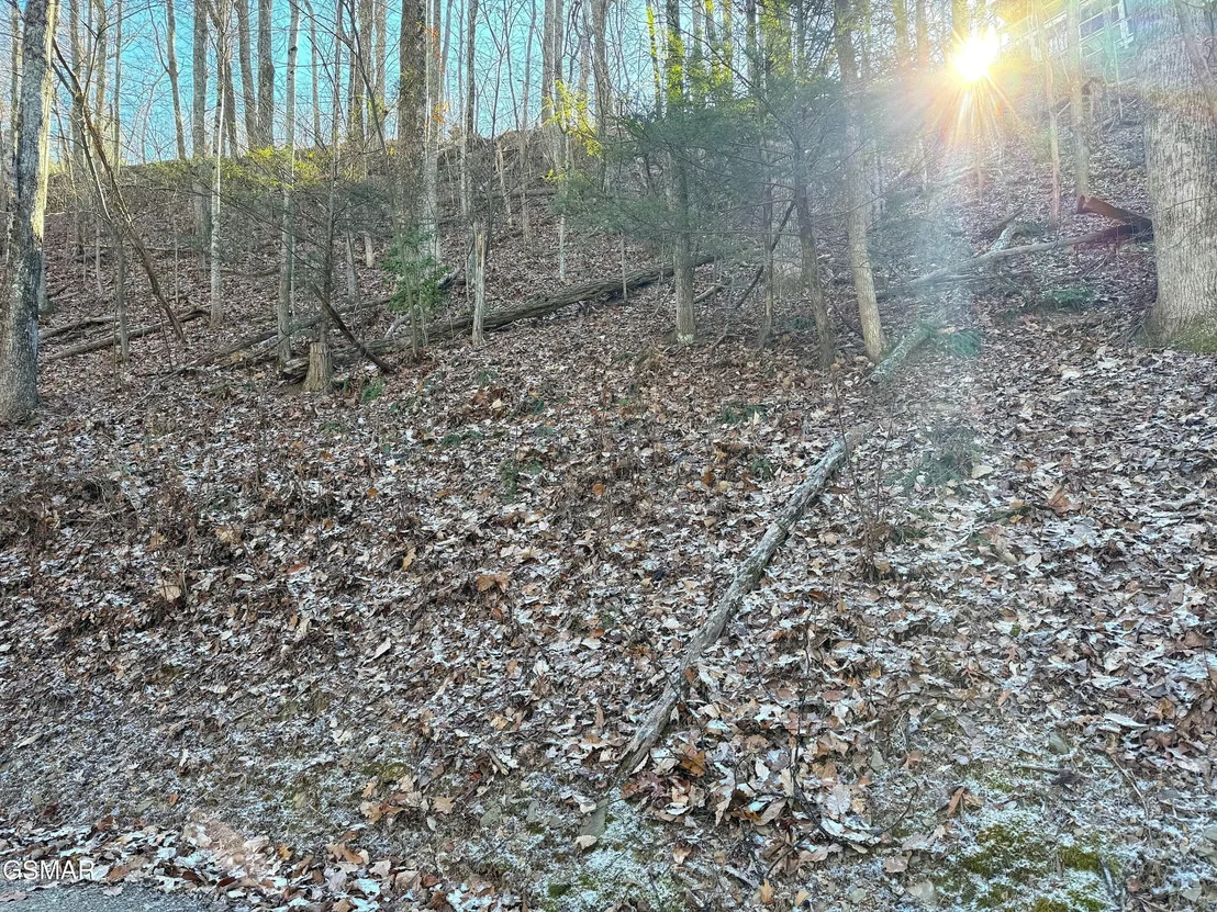 Photo of 1872 Orchard Drive