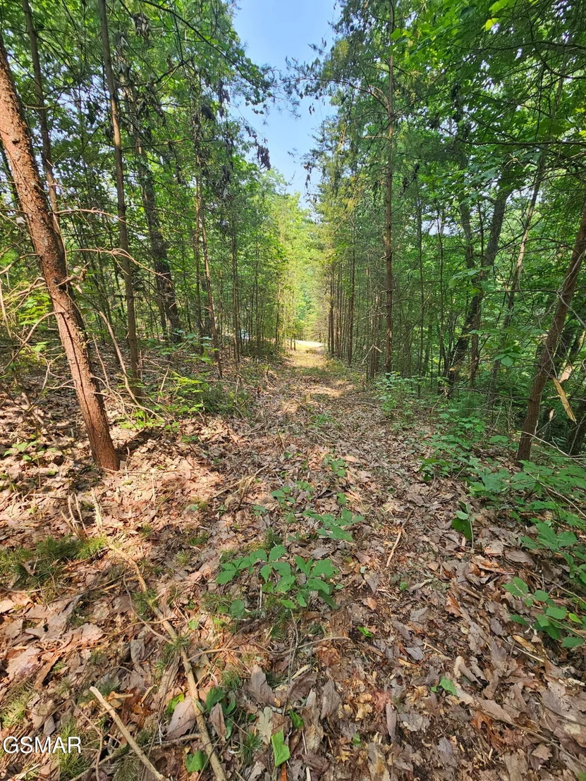 Photo of 124 Sharp Road