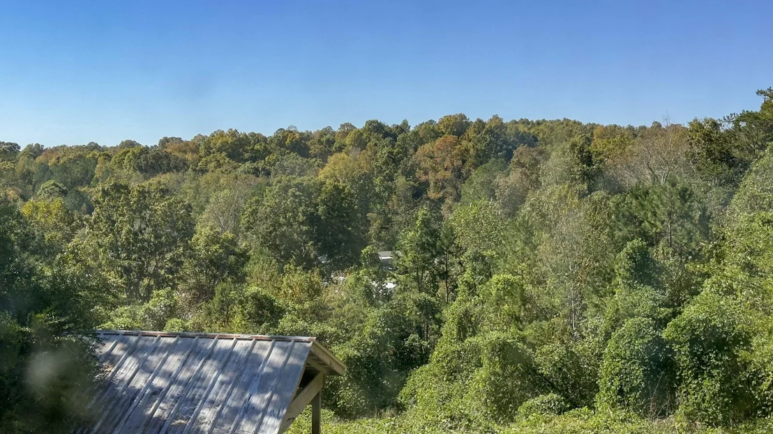 Photo of 806 Bradmeyer Drive