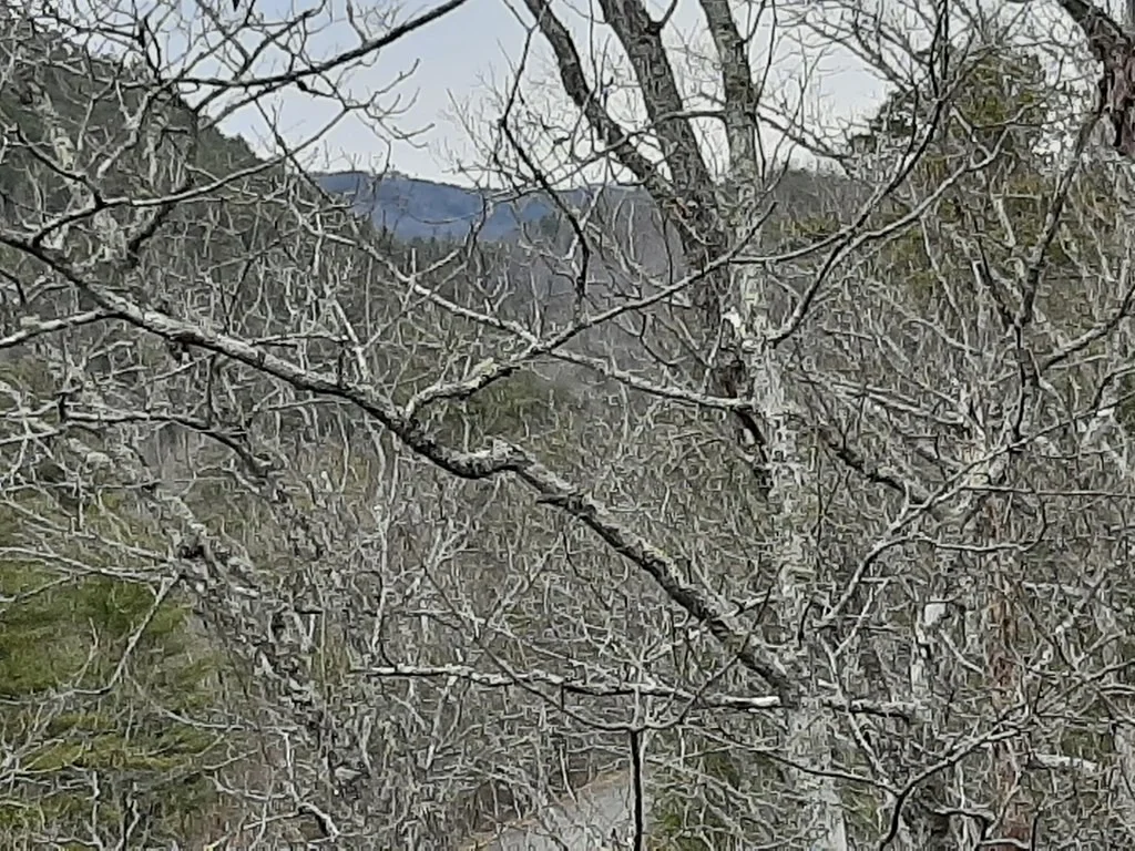 Photo of 834 Tanasi Trail