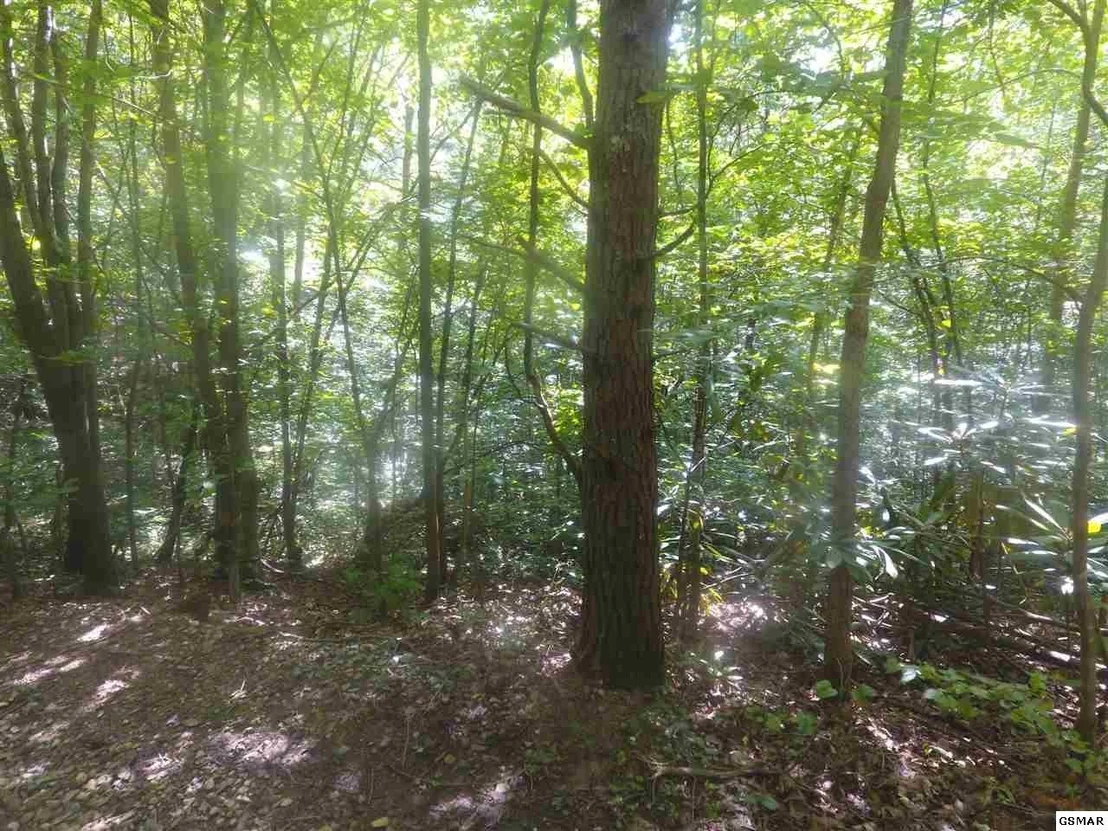 Photo of 3695 Shady Springs Way