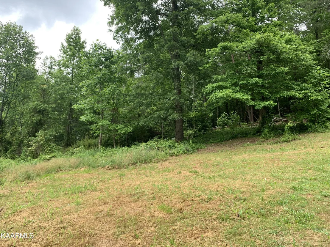 Photo of 1971 Steve Brown Rd