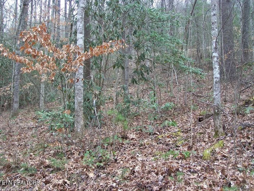 Photo of 483 Chetola Trail