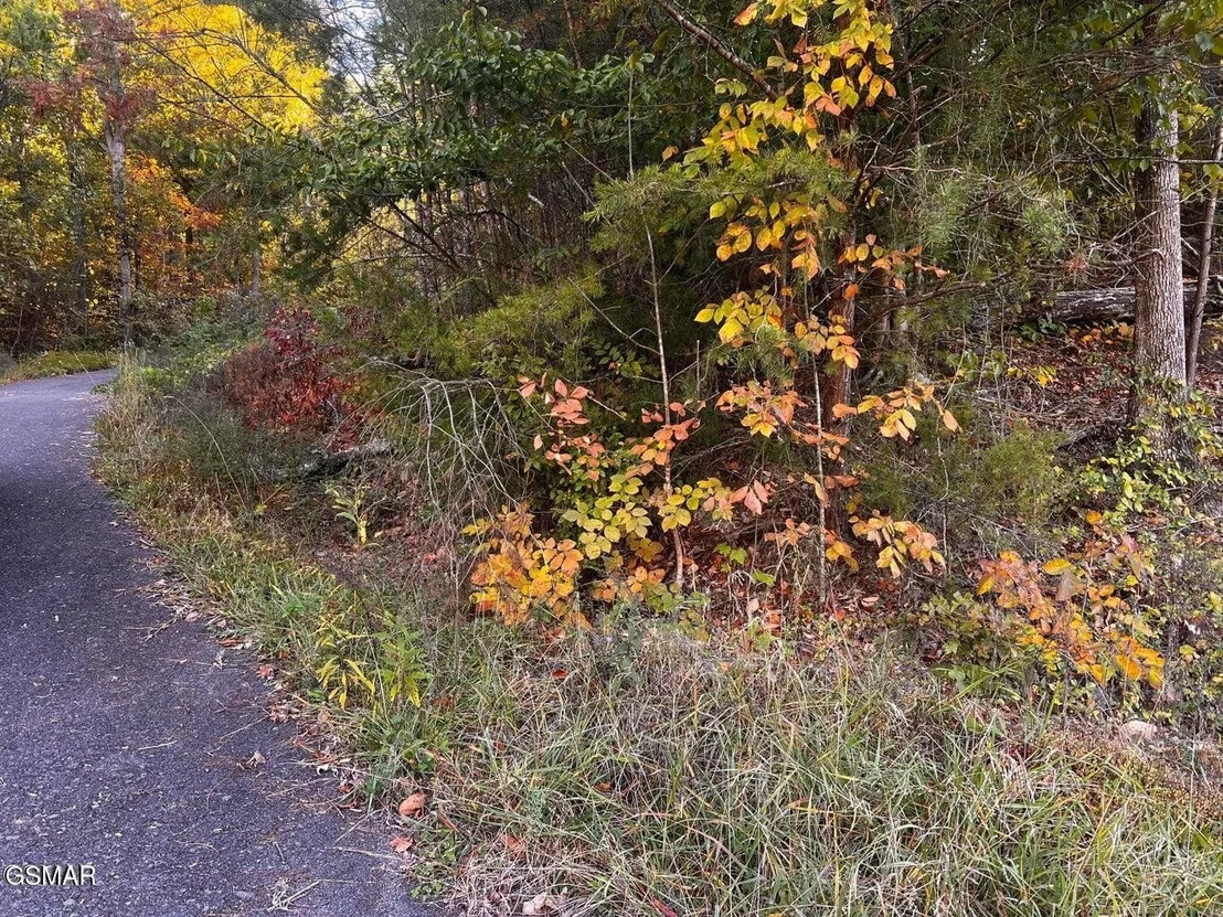 Photo of 124 Sharp Road