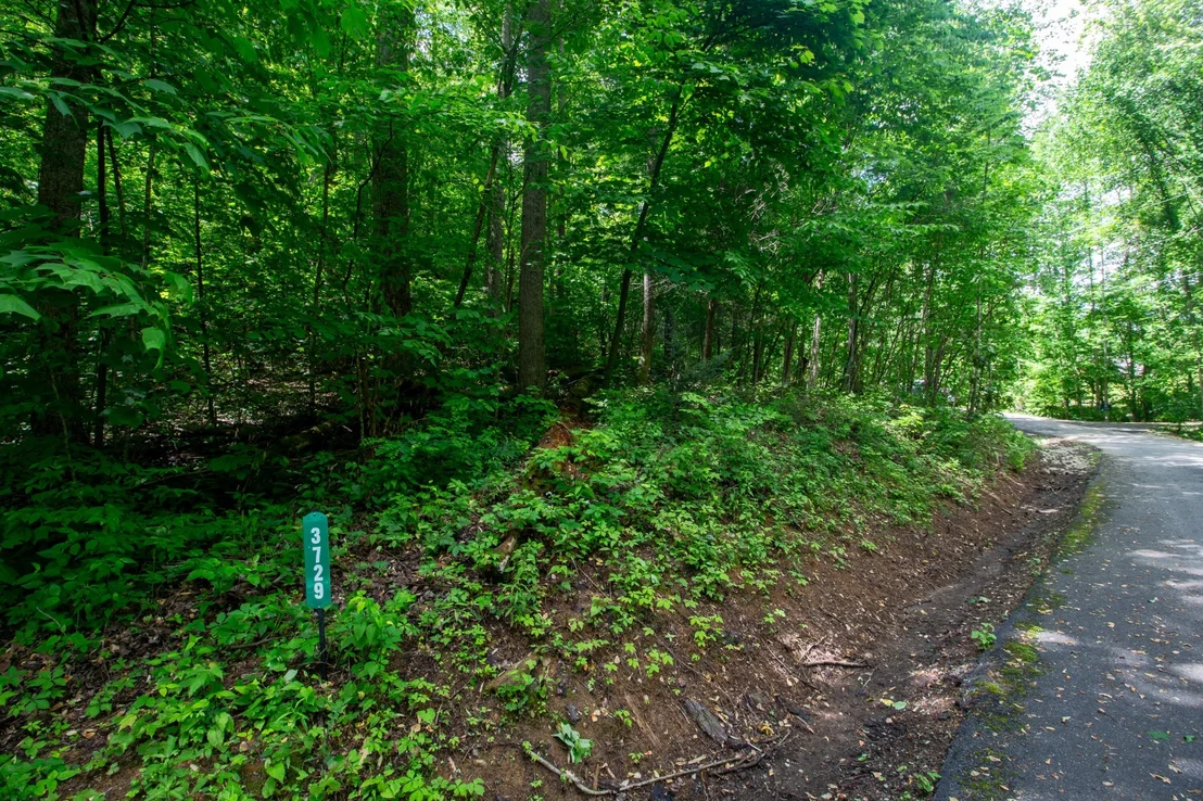 Photo of 3729 Ginseng Way
