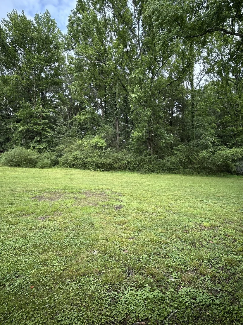 Photo of 161 Post Oak Ave
