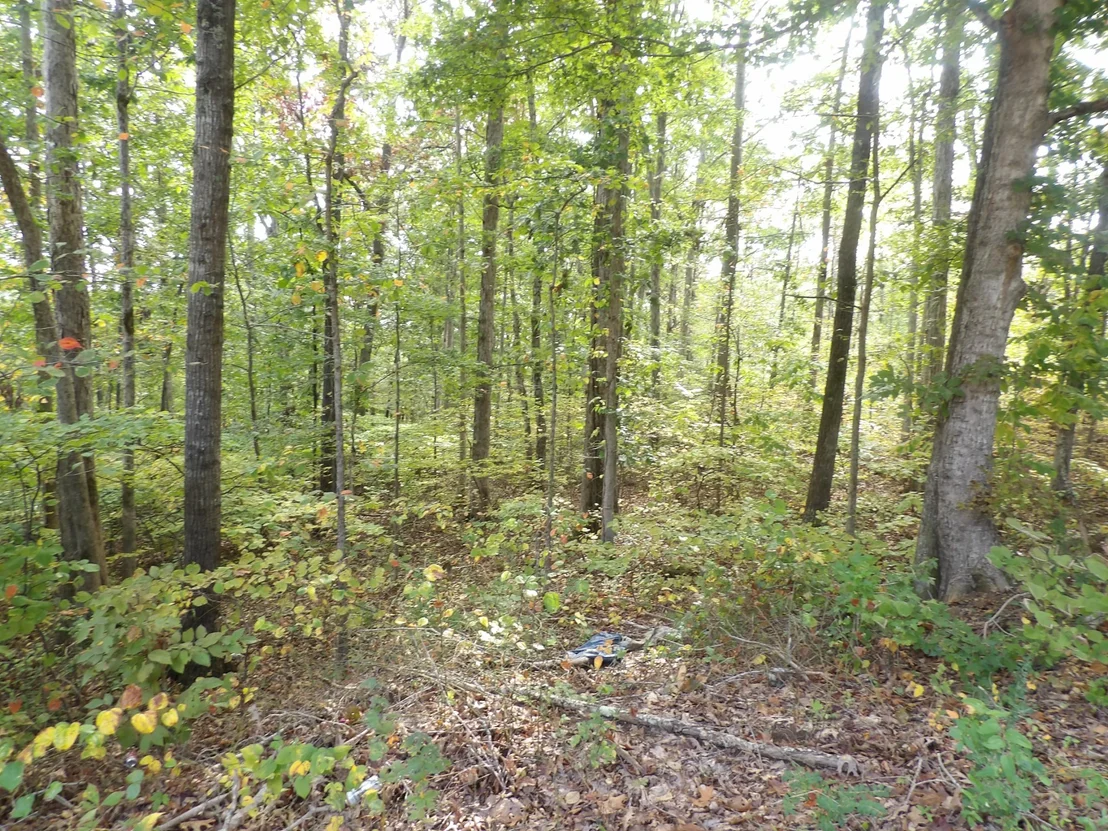Photo of 112 Oak Ridge Dr