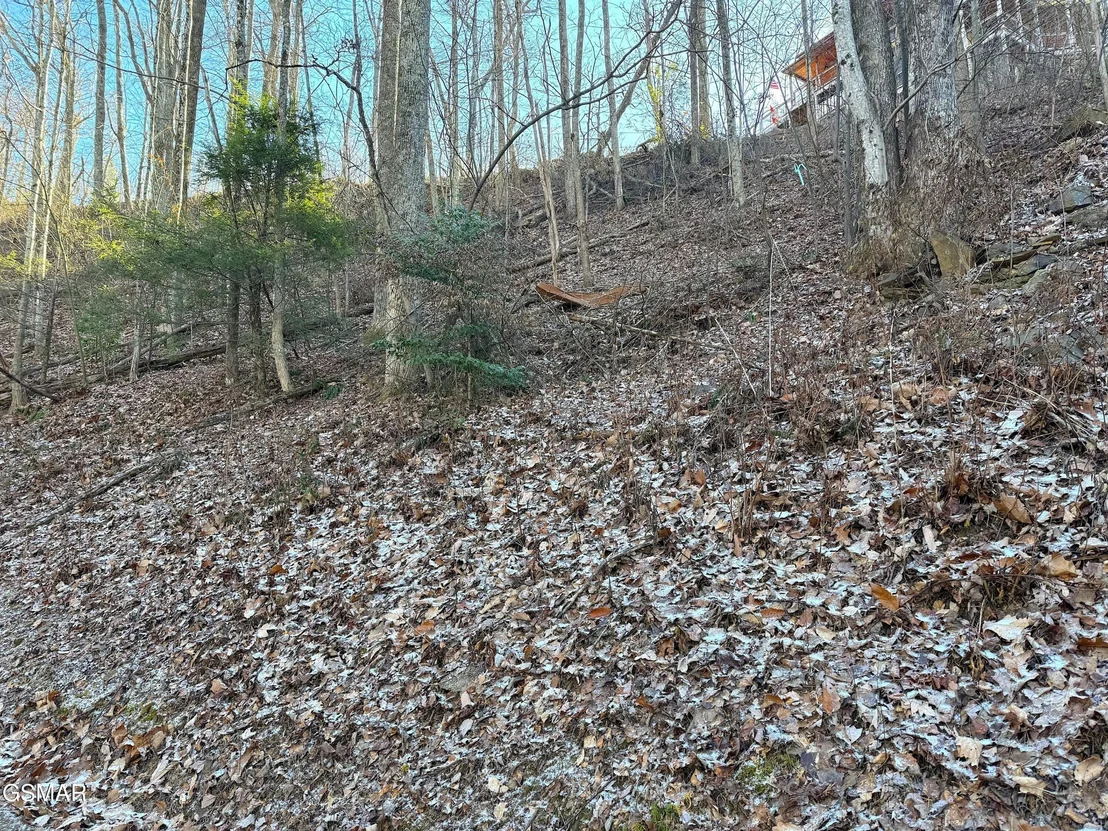 Photo of 1872 Orchard Drive