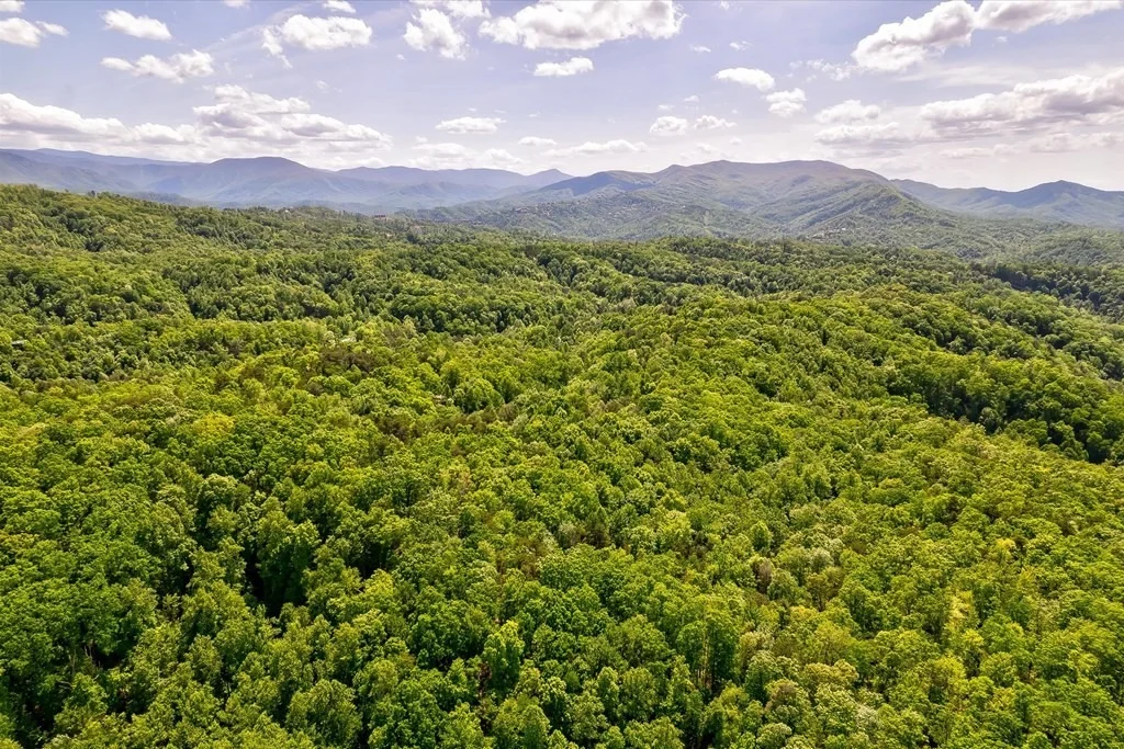 Photo of 1130 Ski View Lane