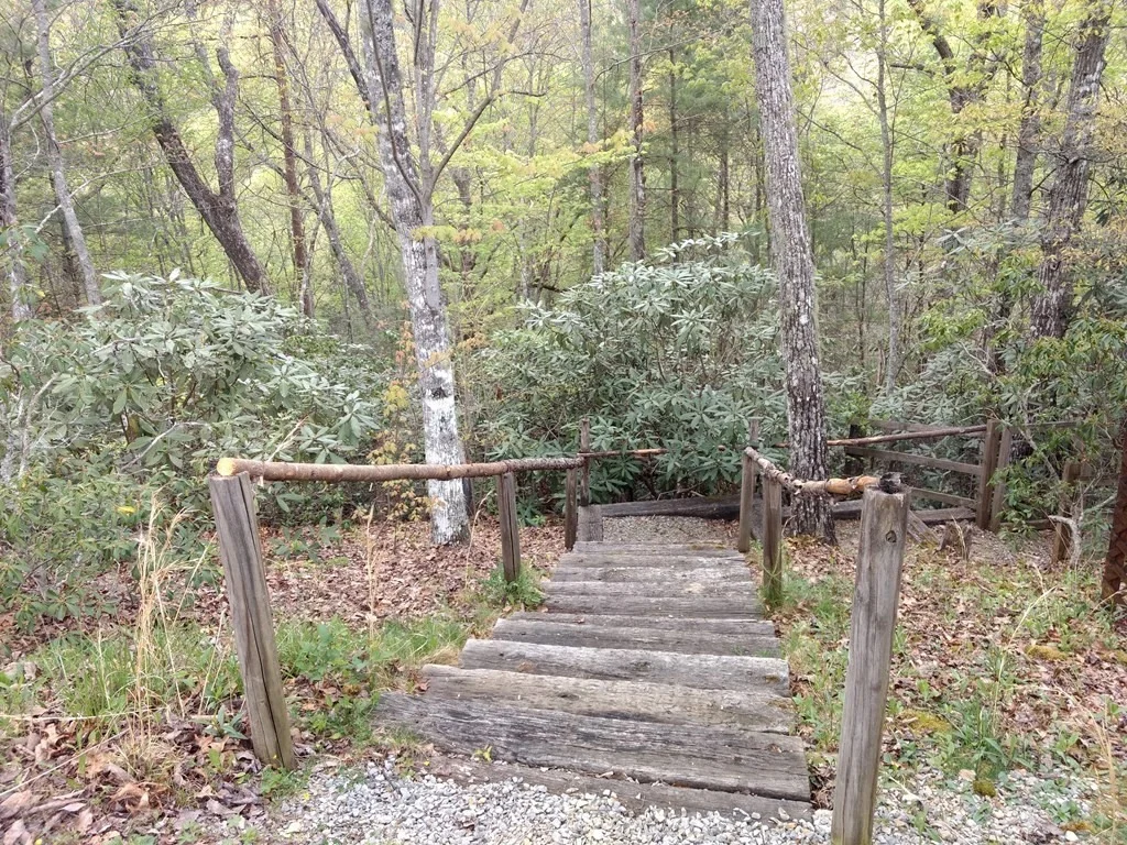 Photo of 4230 Chamberlain Lane