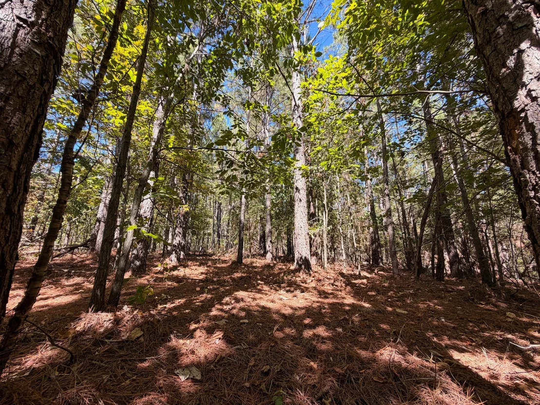 Photo of 0 Coy Hill Rd