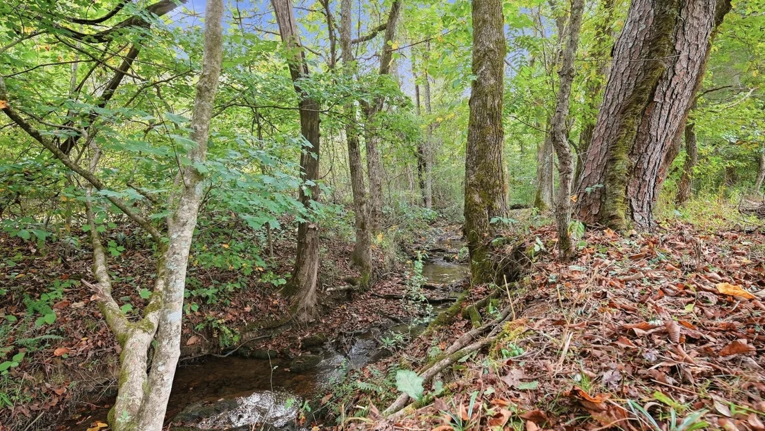 Photo of 788 Sand Mountain Road