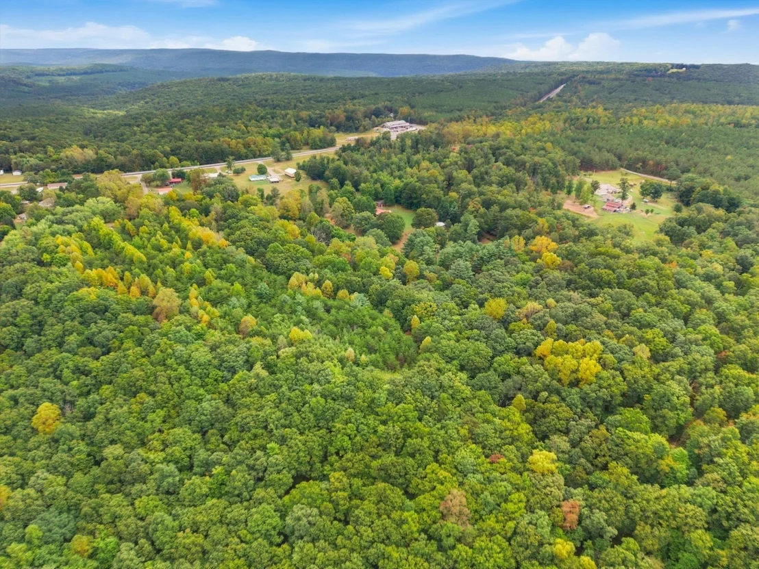 Photo of 175 Teeters Loop Road
