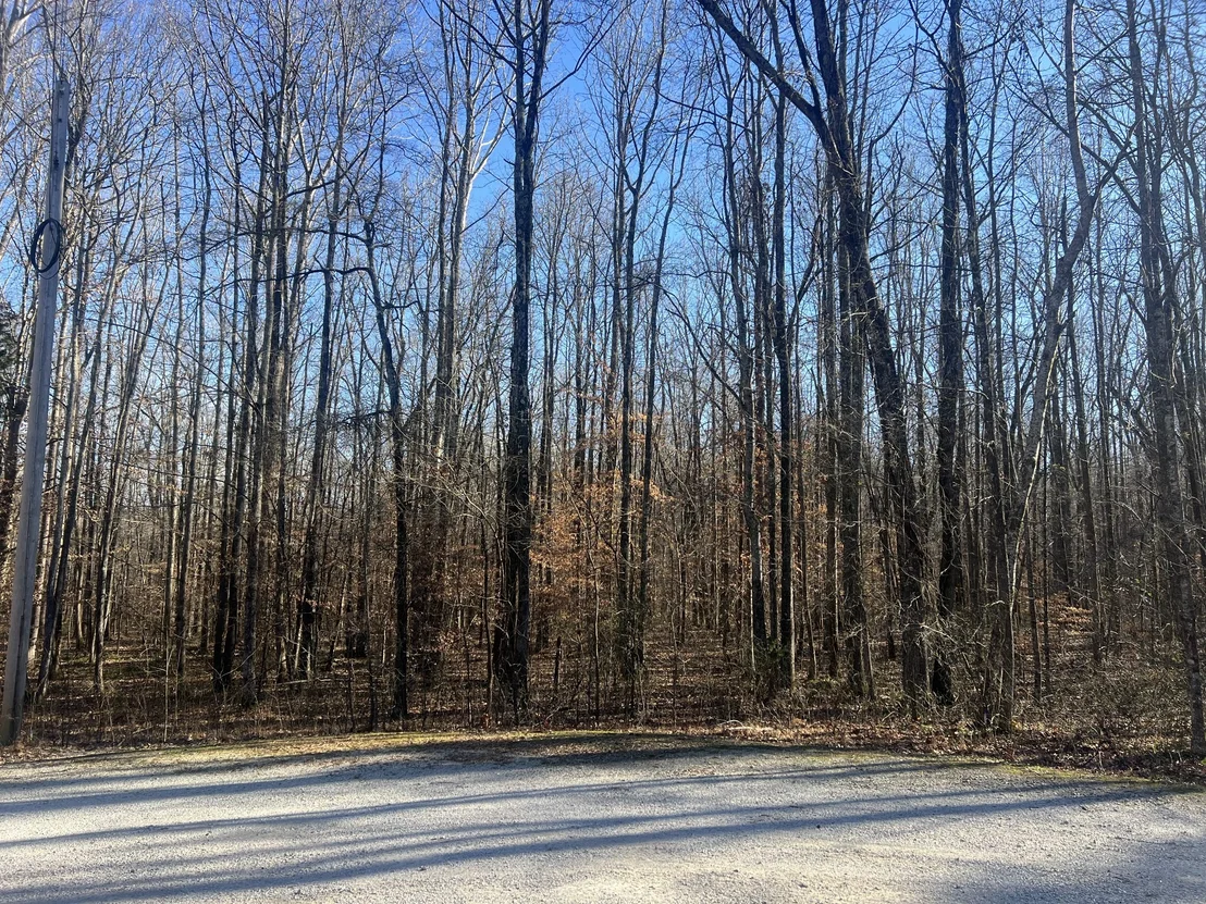 Photo of 0 Excalibur Trail
