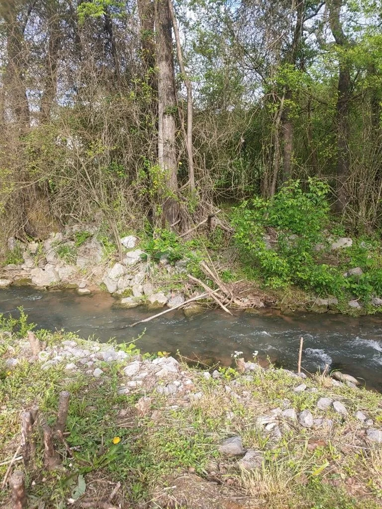 Photo of 1195 Treadway Drive