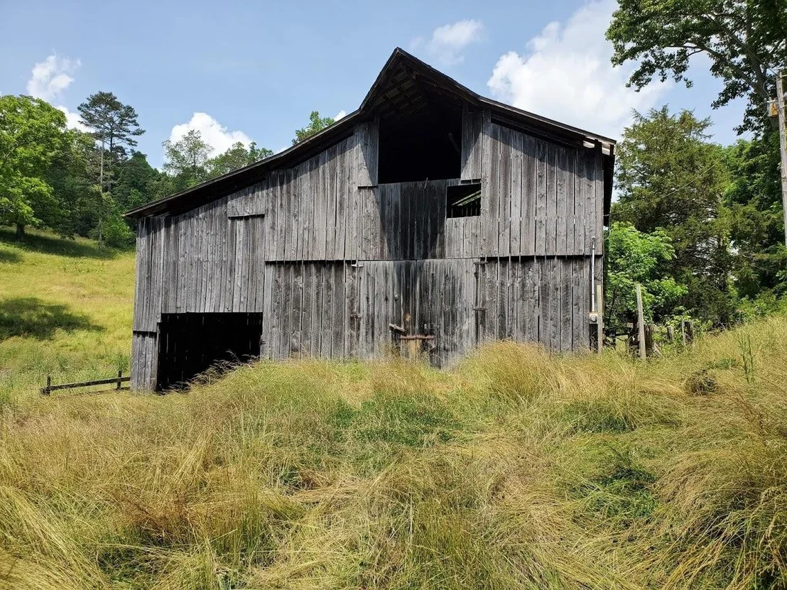 Photo of 482 Cabbage Rd