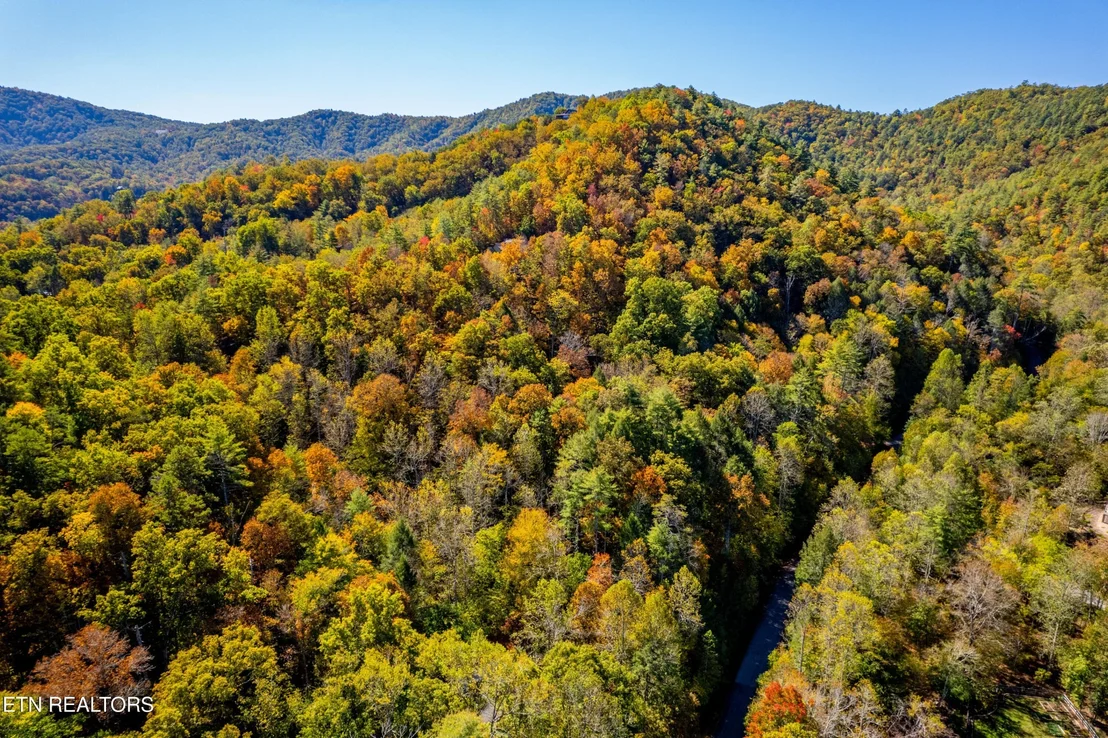 Photo of 716 Tanasi Trail