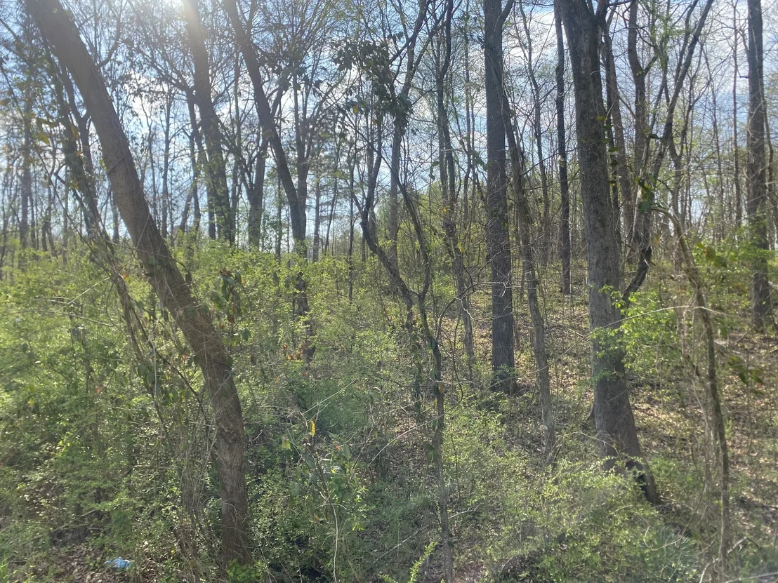 Photo of 0 Mountain View Drive