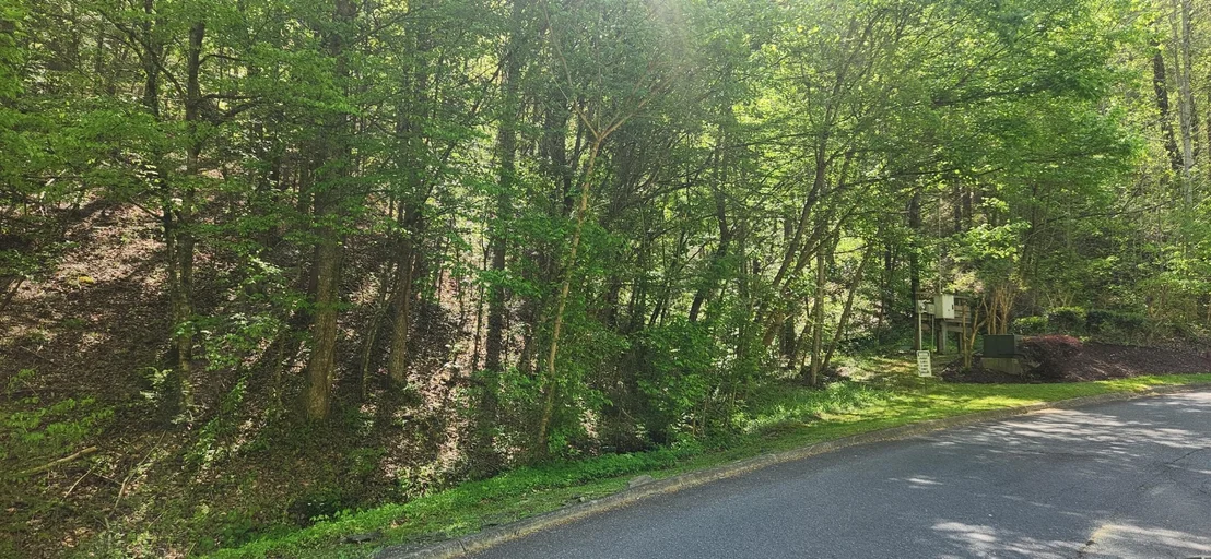 Photo of 1154 Black Bear Cub Way